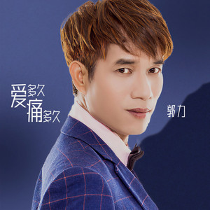 爱多久痛多久 (DJ沈念版)