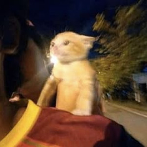 Respirando (sped up)