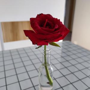 济南西（女生版）