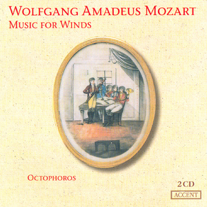 Serenade No. 10 in B-Flat Major, K. 361 "Gran partita": VI. Theme with Variations: Andante
