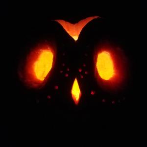 Till your Fingers Burn