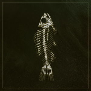 Bone of Bitterling