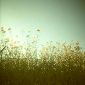 Lovely (feat. Thalia Cutrona)