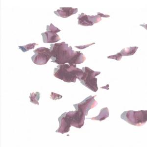都走(Prod by 10Ri&Baize)