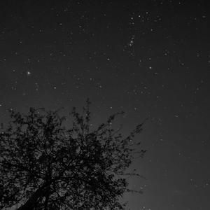 Ніченька прийшла