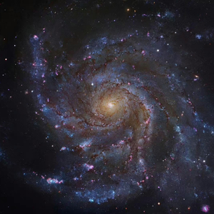 你是我按停闹钟还想继续的梦