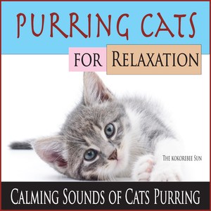 Outdoor Ceiling Fan with Cat Purring (Sleep Sounds)