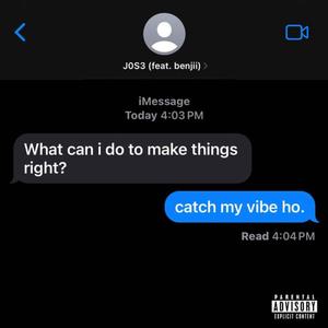 Catch My Vibe (feat. benjii)