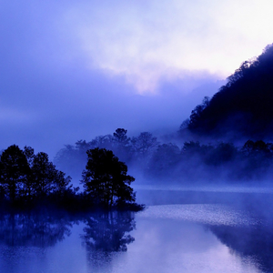 胡笳十八拍（五音疗愈养肝疗愈）