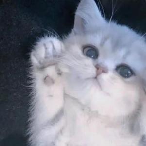 再也不见 （Prod.DIVINE MUSIC）