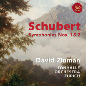 Symphony No. 1 in D Major, D. 82:I. Adagio - Allegro vivace