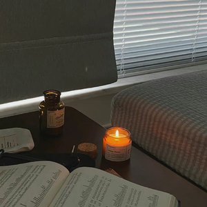 我在冬季将你送回人海里