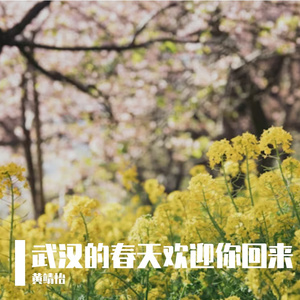 武汉的春天欢迎你回来