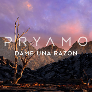 Dame Una Razón