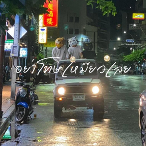 อย่าโทษเหมียวเลย