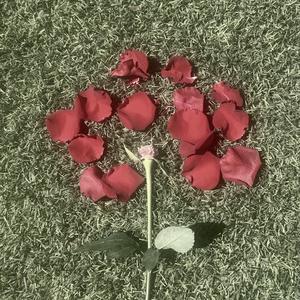 Till Death Do We Part