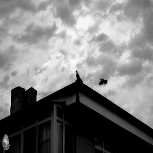 GreeNn (feat. Jouyi Chen)