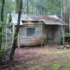 A Bushman's Daughter