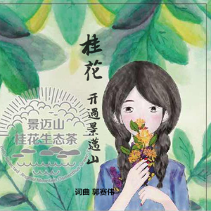 桂花开过景迈山