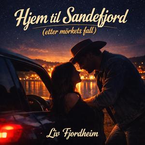 Hjem til Sandefjord (etter mørkets fall)