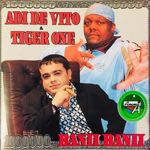 Banii Banii (feat. Tiger One)