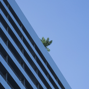 Emotional(Feat. B JYUN., Deaven)