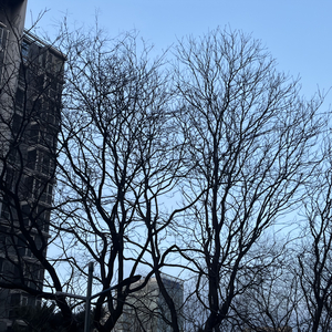 关心是种残忍天赋