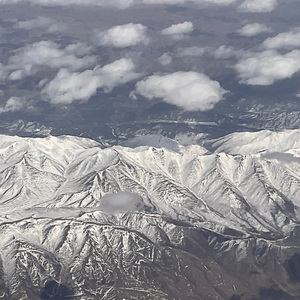 lonely person（孤独的人）