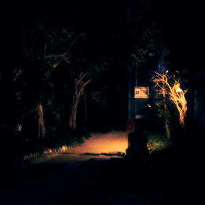 你终究还是抵达