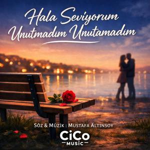 Hala Seviyorum Unutmadım Unutamadım