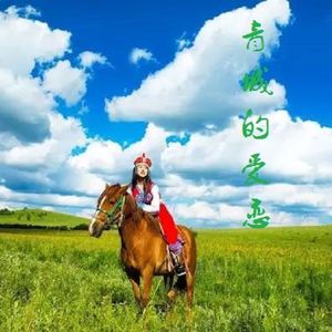 《梦回草原遇见你》