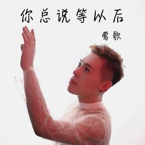 你总说等以后