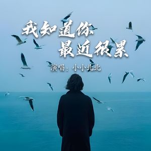 我知道你最近很累