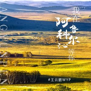 我在阿鲁科尔沁等你 (伴奏)