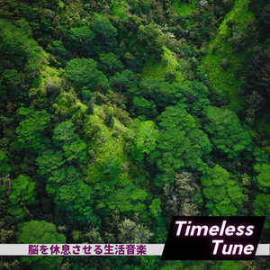 The Light in the Darkness