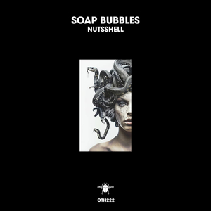 Nutsshell (Radio Edit)