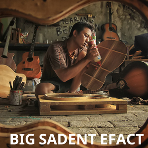 BIG SADENT EFACT