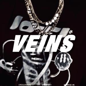 VEINS