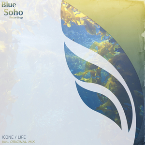 Life (Original Mix)