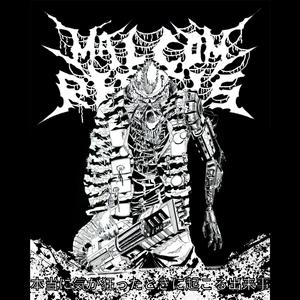 Violence is not the answer, but life is not a question