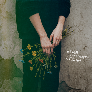 Степи