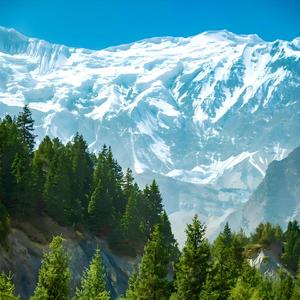 高山下的花环(轻松喜悦纯音乐)