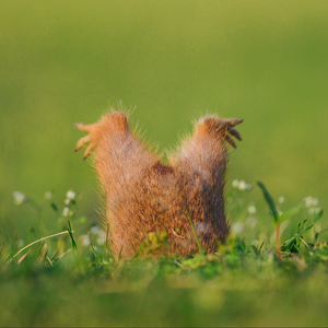 雾霭消散后的觉醒