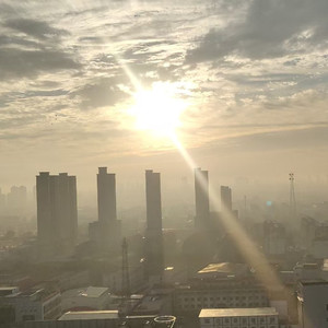 心向旷野（深情版）