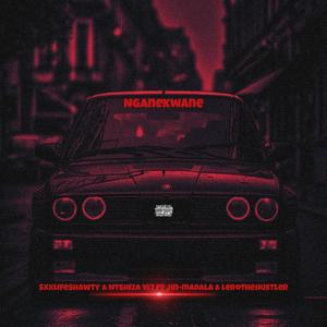 NGANEKWANE (feat. Ntshiza187, Jin-Madala & Lerothehustler)