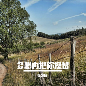 多想再把你挽留 (剪辑版)