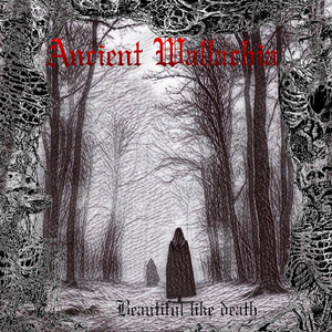 Beautiful Like Death