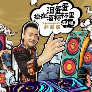 泪蛋蛋掉在酒杯杯里 (DJ何鹏版)