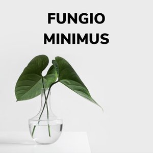 minimus (radio edit)