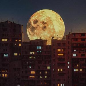 星空剪影(cover.张碧晨)（翻自 张碧晨）